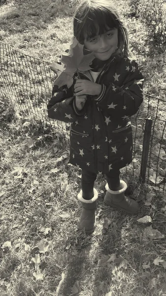 Μικρό Κοριτσάκι Που Κρατάει Ένα Φύλλο Την Φθινοπωρινή Περίοδο Έννοια — Φωτογραφία Αρχείου