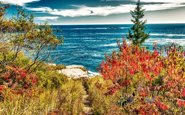 Letecký Pohled Národního Parku Acadia Období Listoví Jezero Barvy Stromů — Stock fotografie