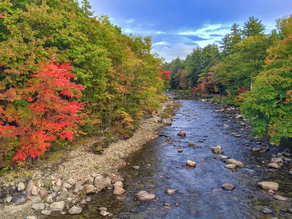 Отражения Реке Парк Сезон Листвы Осенние Цвета — стоковое фото