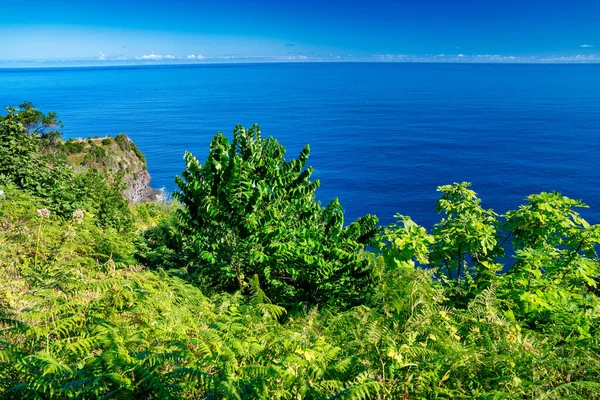 Miradouro Veu Noiva Madeira Portugal — Stockfoto