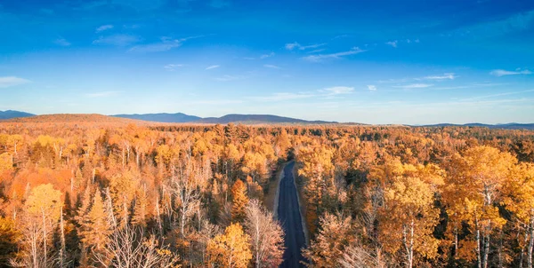 Letecký Pohled Lesní Porost Stromy Podzim Pohledu Drona — Stock fotografie