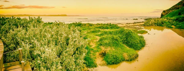 Aussichtspunkt Für Pinguine Bei Sonnenuntergang Auf Phillip Island Australien Hier — Stockfoto