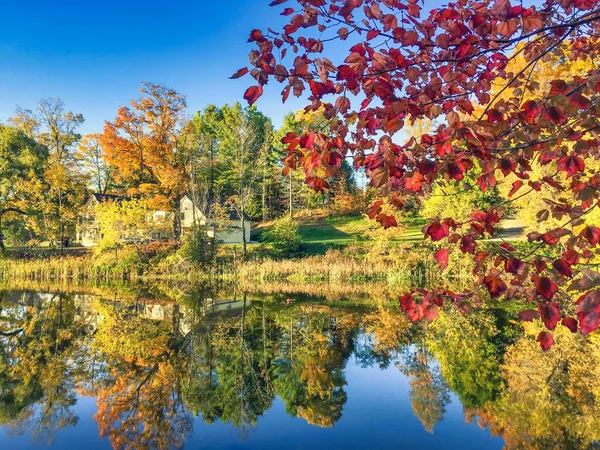 Park Gölü Yeşillik Mevsiminde Yansıyor Sonbahar Renkleri — Stok fotoğraf