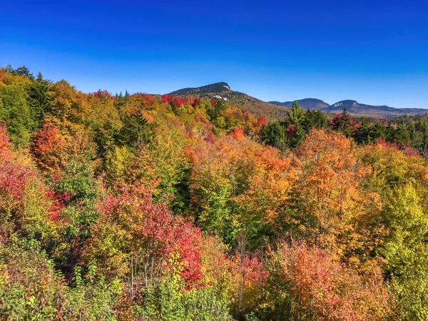 Lindas Cores Paisagem Temporada Folhagem Cenário Outono — Fotografia de Stock