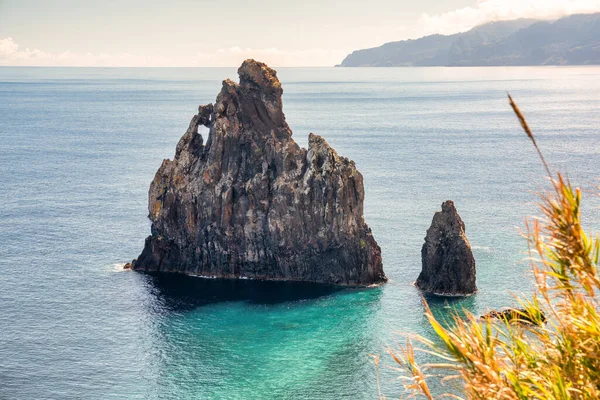 Pobřeží Skála Ostrova Madeira Portugalsko — Stock fotografie