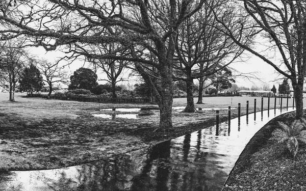 Kuirau Park Einem Regnerischen Tag Rotorua Neuseeland Rundumblick — Stockfoto