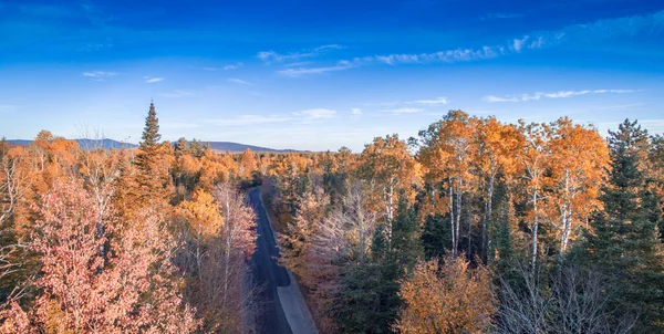 지대를 공중에서 수있다 드론으로본 가을의 나무들 — 스톡 사진