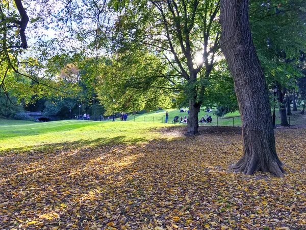 Green Red Orange Autumn Leaves Background Colorful Outdoor Image Fallen — Stock Photo, Image