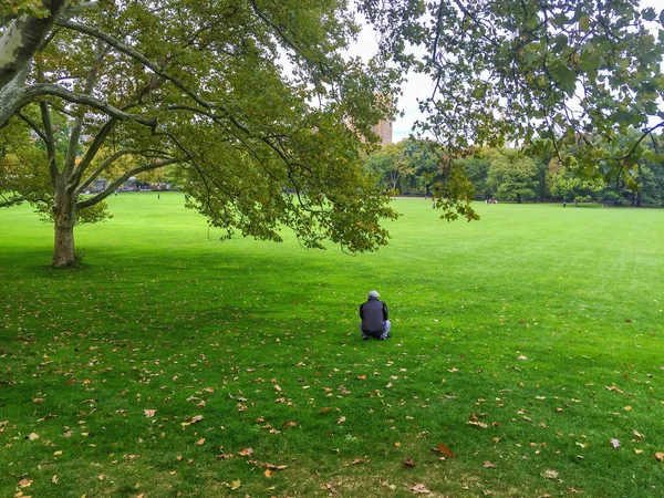 Одинокий Человек Посреди Парка Осенью — стоковое фото