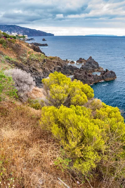 Niesamowite Wybrzeże Madery Sezonie Letnim Piękna Europejska Wyspa Słoneczny Dzień — Zdjęcie stockowe