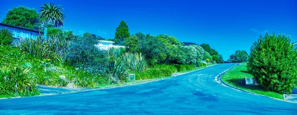 Beautiful Road New Zealand Spring North Island — Stockfoto