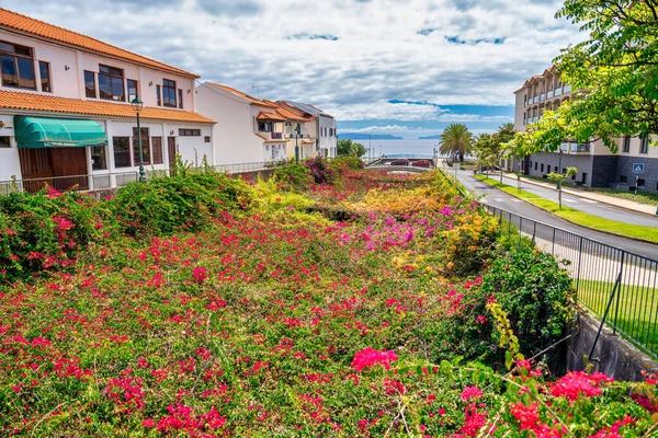Santa Cruz Madeira Kanal Penuh Bunga Dekat Laut Pemandangan Dari — Stok Foto