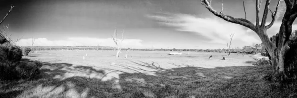 Природный Парк Эму Бей Острове Кенгуру Австралия Панорамный Вид — стоковое фото