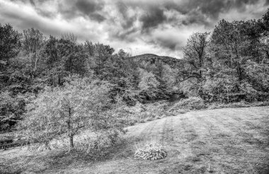 Vermont 'un yuvarlanan tepelerinde yapraklar dökülür. New England 'da güneşli bir günde en yüksek renk..