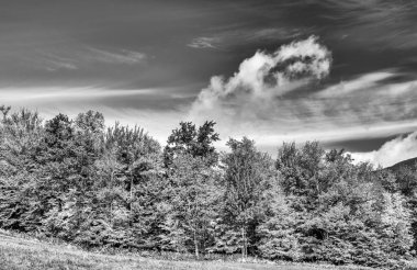 Vermont 'un yuvarlanan tepelerinde yapraklar dökülür. New England 'da güneşli bir günde en yüksek renk..