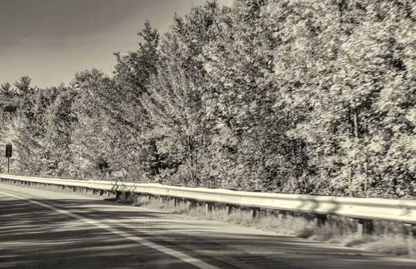 Camino Través Del Bosque Temporada Follaje — Foto de Stock