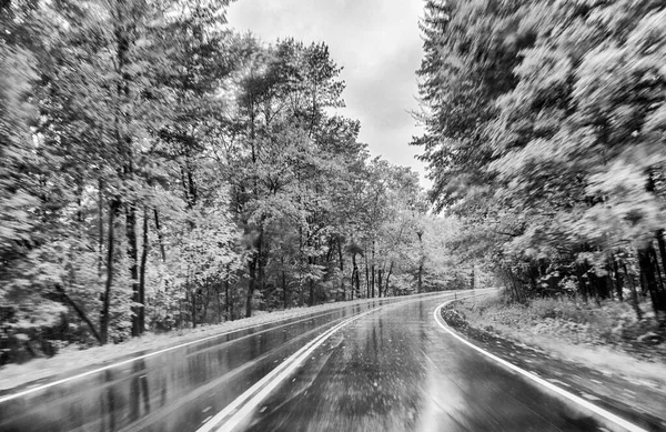 Yağmurlu Bir Günde Yeşillik Mevsiminde Ormanın Karşısındaki Yol — Stok fotoğraf