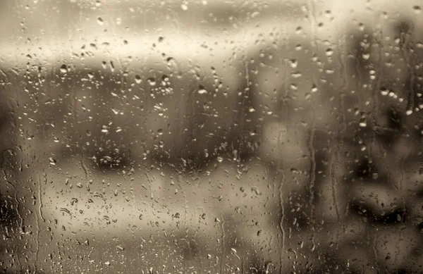 Regen Druppels Een Autoraam Met Wazig Bos Bomen Achtergrond — Stockfoto