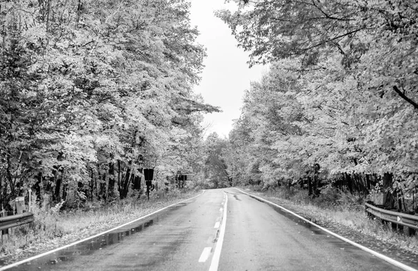 Road New England Leaves Season — 스톡 사진