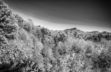 Vermont 'un yuvarlanan tepelerinde yapraklar dökülür. New England 'da güneşli bir günde en yüksek renk..