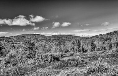 Vermont 'un yuvarlanan tepelerinde yapraklar dökülür. New England 'da güneşli bir günde en yüksek renk..