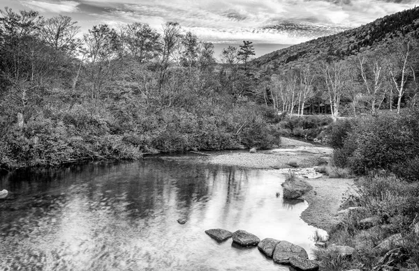 Creek New England Musim Dedaunan — Stok Foto