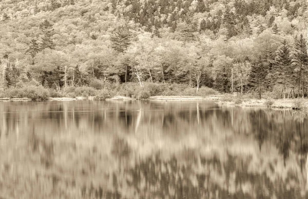 葉の風景や色 秋の湖と木々 水の反射 リラックスしたコンセプト — ストック写真