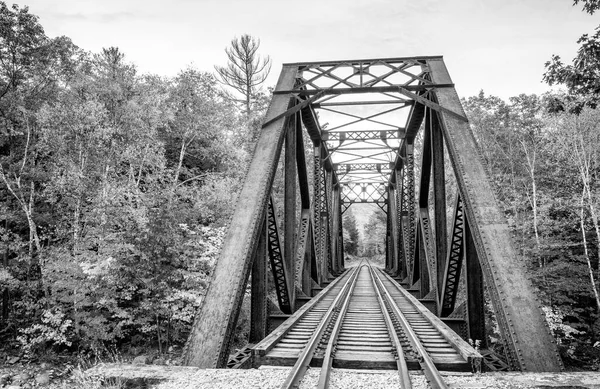 Мост Новой Англии Сезоне Листвы — стоковое фото