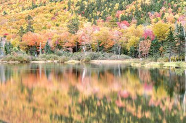 Yaprak döşeme ve renkler. Sonbahar mevsiminde göl ve ağaçlar, su yansımaları, rahatlama konsepti.