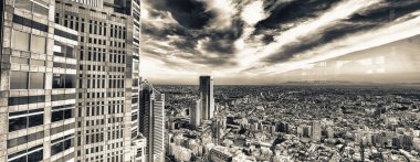 Günbatımında modern Shinjuku gökdelenlerinin havadan görünüşü, Tokyo