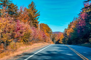 Yeşillik mevsiminde New England Yolu, ABD.