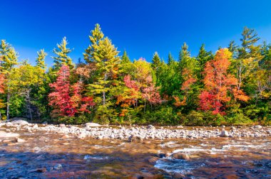 Yaprak mevsiminde nehir ve su yansımaları.