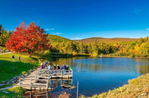 Moultonborough Octubre 2015 Shannon Pond Con Turistas Temporada Follaje —  Fotos de Stock