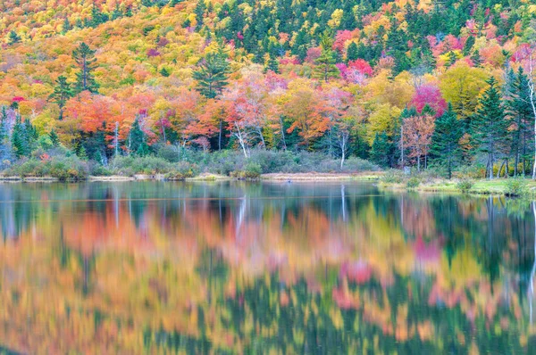 Loof Landschap Kleuren Meer Bomen Herfst Seizoen Water Reflecties Ontspannen — Stockfoto