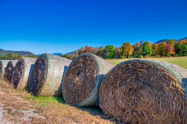 Pile Fieno Lungo Strada Paesaggio Fogliare — Foto Stock