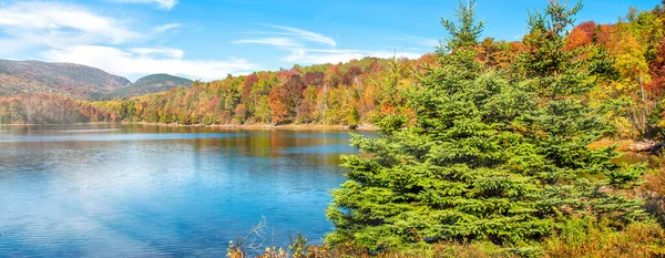 Herfst Gebladerte Kleuren Van Acadia National Park Bomen Meer Maine — Stockfoto