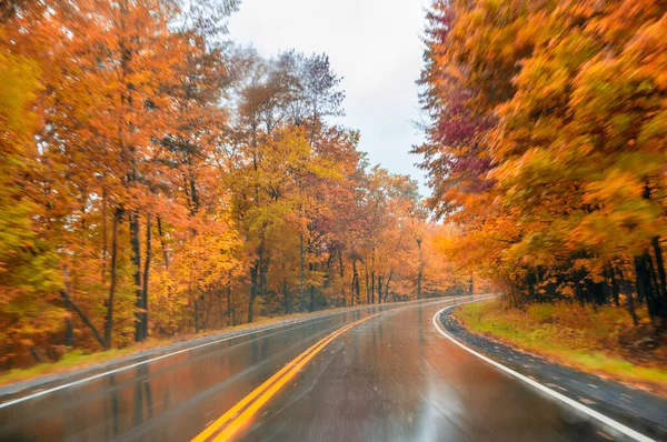 Straße Durch Den Wald Der Laubzeit Einem Regnerischen Tag — Stockfoto