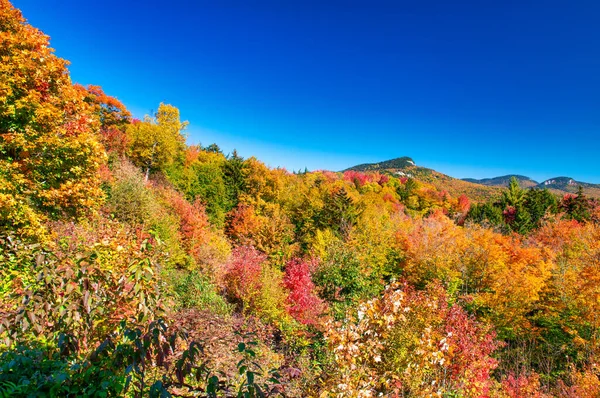 Herbstlaub Über Den Sanften Hügeln Von Vermont Höhepunkt Herbst Farbe — Stockfoto