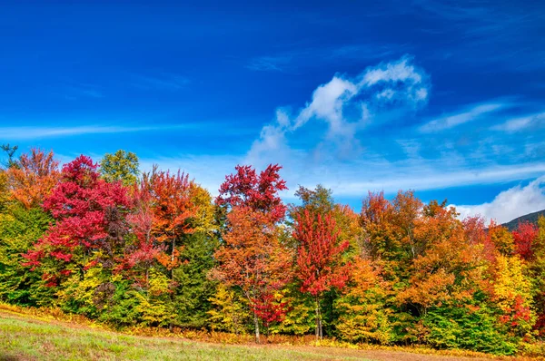 Fall Foliage Través Las Colinas Vermont Pico Color Otoño Hermoso — Foto de Stock