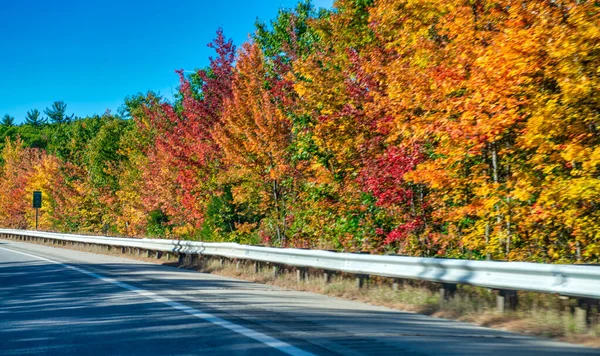 Estrada Através Floresta Época Folhagem — Fotografia de Stock