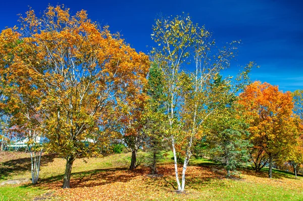 Fall Foliage Πέρα Από Τους Λόφους Του Βερμόντ Κορυφή Χρώμα — Φωτογραφία Αρχείου