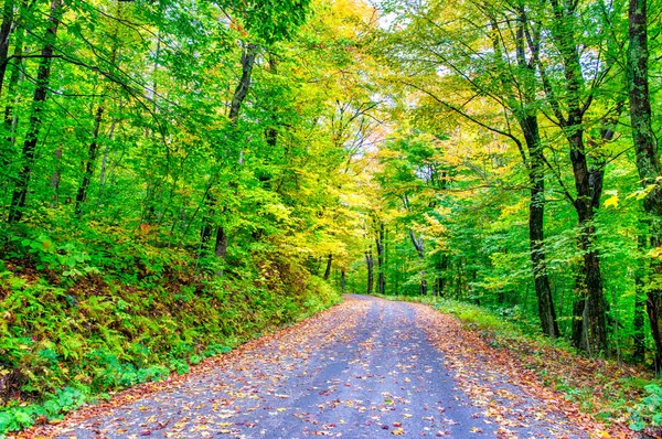 Herbstblätter Der Laubzeit Herbstfarben — Stockfoto