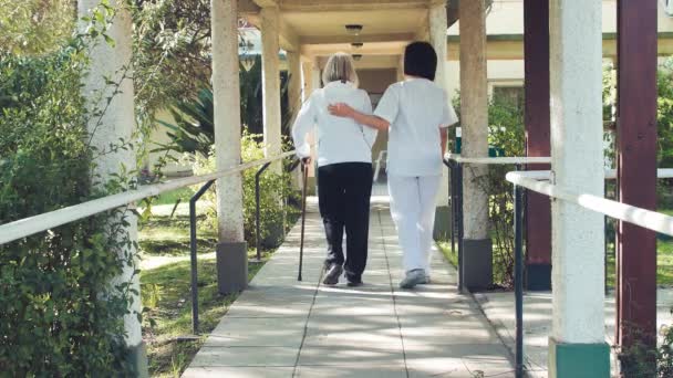 Asian Doctor Helps Elderly Caucasian People Walking Garden Trail — Stock Video