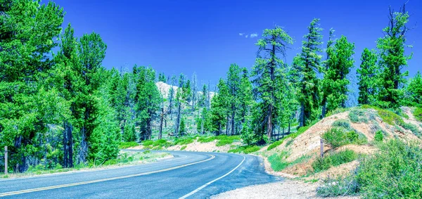 Route Travers Parc National Bryce Canyon Saison Estivale — Photo