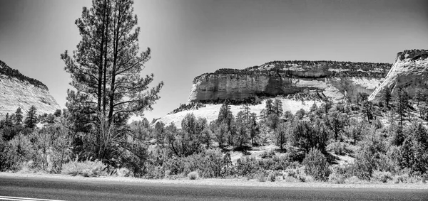 Schöne Berge Und Straßen Des Zion Nationalparks Unter Blauem Sommerhimmel — Stockfoto