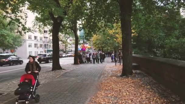 Nueva York City Octubre 2015 Quinta Avenida Con Tráfico Otoñal — Vídeo de stock