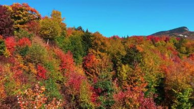 New England 'ın yeşillik rengi. Yeşil, sarı ve kırmızı gölgeli ağaçlar.