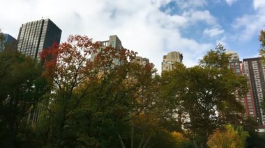 Central Park sonbahar sezonunda etrafındaki gökdelenlerle.