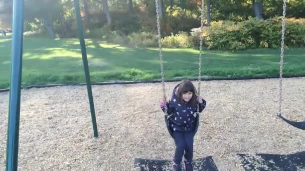 秋のスイングの赤ちゃん — ストック動画