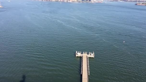 Vista Aérea Estátua Liberdade Partir Topo Cidade Nova Iorque — Vídeo de Stock